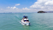 s: Southern Island Cruise Experience: photo #1