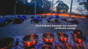 s: Sound Healing: photo #2