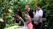 s: Standard Entrance Pass with Nature Wonders: photo #3