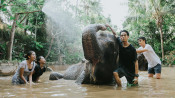 s: Elephant Bath Experience: photo #4