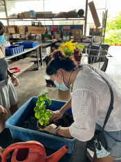 s: Edible Farm Tour and Microgreen Workshop: photo #3