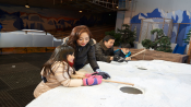 s: Snow Play Session - 2 Hours: photo #2