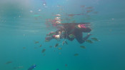 s: Snorkeling (Pulau Payar): photo #2
