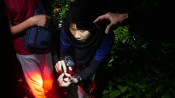 s: Starlight Camping: photo #1
