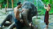 s: Elephant Bath Experience: photo #2