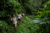s: Tropical Trekking Tour: photo #1