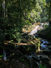 s: Malacca Gunung Datuk Rainforest Bathing: photo #1