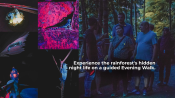 s: Starlight Camping: photo #2