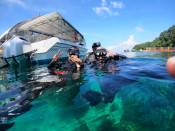 s: Fun Dive (Pulau Payar): photo #3