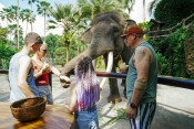 s: Picnic With an Elephant Tour: photo #4