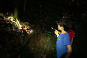 s: Naturalist Night Adventure (4-to-go): photo #2