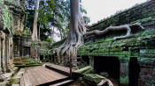 s: Spectacular visit of Angkor complex: photo #6