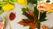 s: Little Botanist Workshop: photo #3