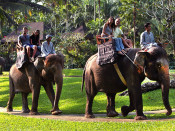 s: Elephant Safari: photo #3