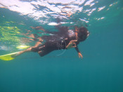 s: Snorkeling (Pulau Payar): photo #3