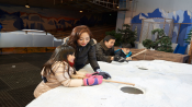 s: June School Holiday Promotion - 2 Adult + 2 Children Admission @ $88!: photo #1