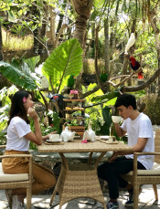 s: Intimate Wildlife Experience with High Tea: photo #2