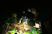 s: Naturalist Night Adventure (4-to-go): photo #3