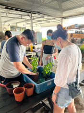 s: Edible Farm Tour and Microgreen Workshop: photo #2