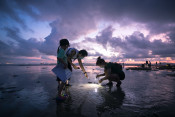 s: Intertidal Exploration: photo #4