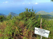 s: Hiking Mount Matchinchang: photo #1