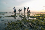 s: Intertidal Exploration: photo #1