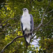 s: Birdwatching Tour – 2 Days: photo #3