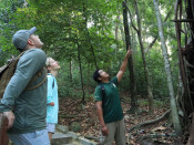 s: Hiking Mount Matchinchang: photo #3