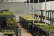 s: Edible Farm Tour and Microgreen Workshop: photo #5