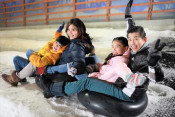 s: Farewell Promotion (1 Hour Snowplay + 1 Bumper Car Ride): photo #1