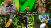 s: The Habitat Rainforest Escape: photo #4