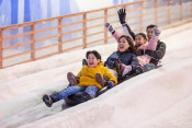 s: Snow Play Session + Drift on Ice Bumper Car: photo #3