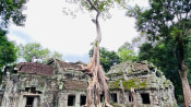 s: Spectacular visit of Angkor complex: photo #7