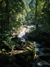 s: Malacca Gunung Datuk Rainforest Bathing: photo #3
