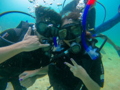 s: Fun Dive (Pulau Payar): photo #4