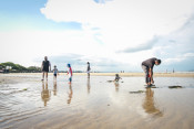 s: Intertidal Exploration: photo #6