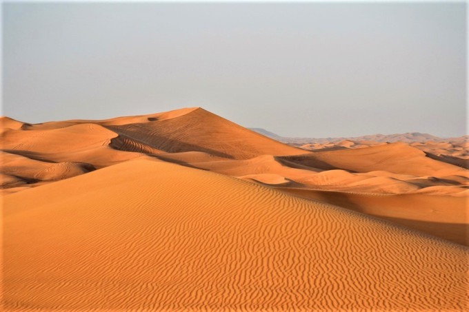 Morning Desert Safari Tour from Dubai – photo 6