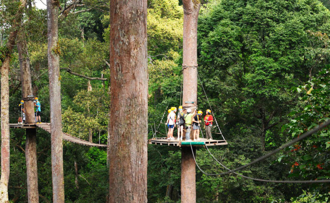 Jungle Flight Zipline Adventure – photo 6