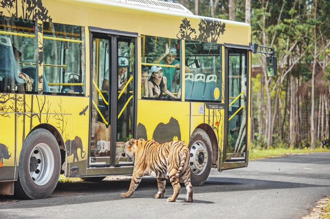Vinpearl Safari Phu Quoc Ticket – photo 5