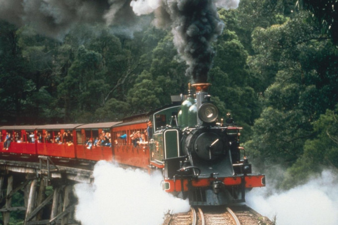 Puffing Billy and Healesville Sanctuary Tour – photo 8