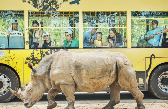 Vinpearl Safari Phu Quoc Ticket – photo 6