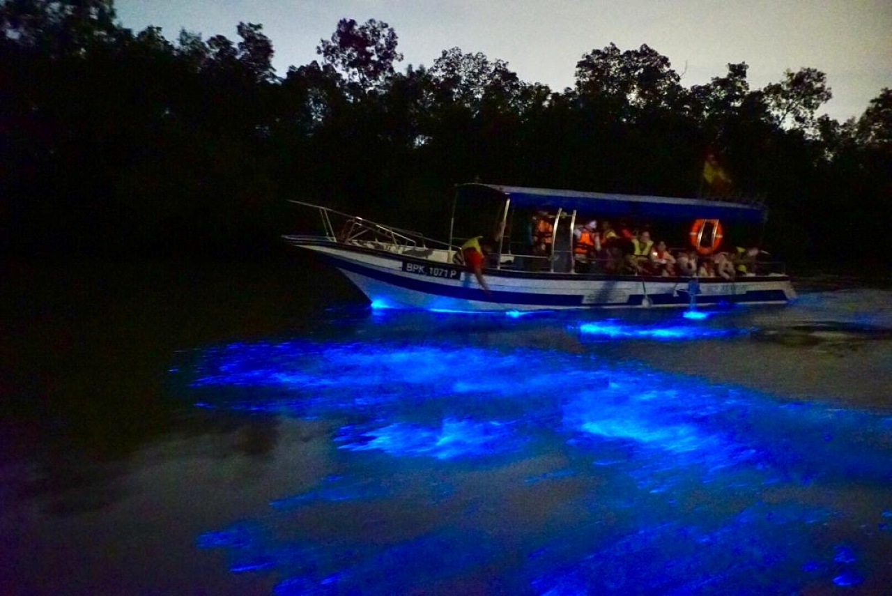 Blue Tears Boat Cruise in Kuala Selangor