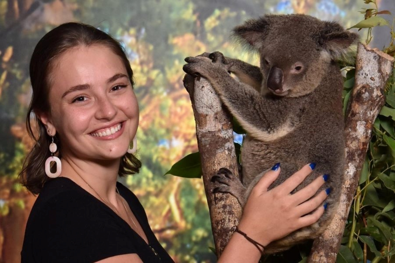 Cairns Koalas and Creatures at the Pier Ticket