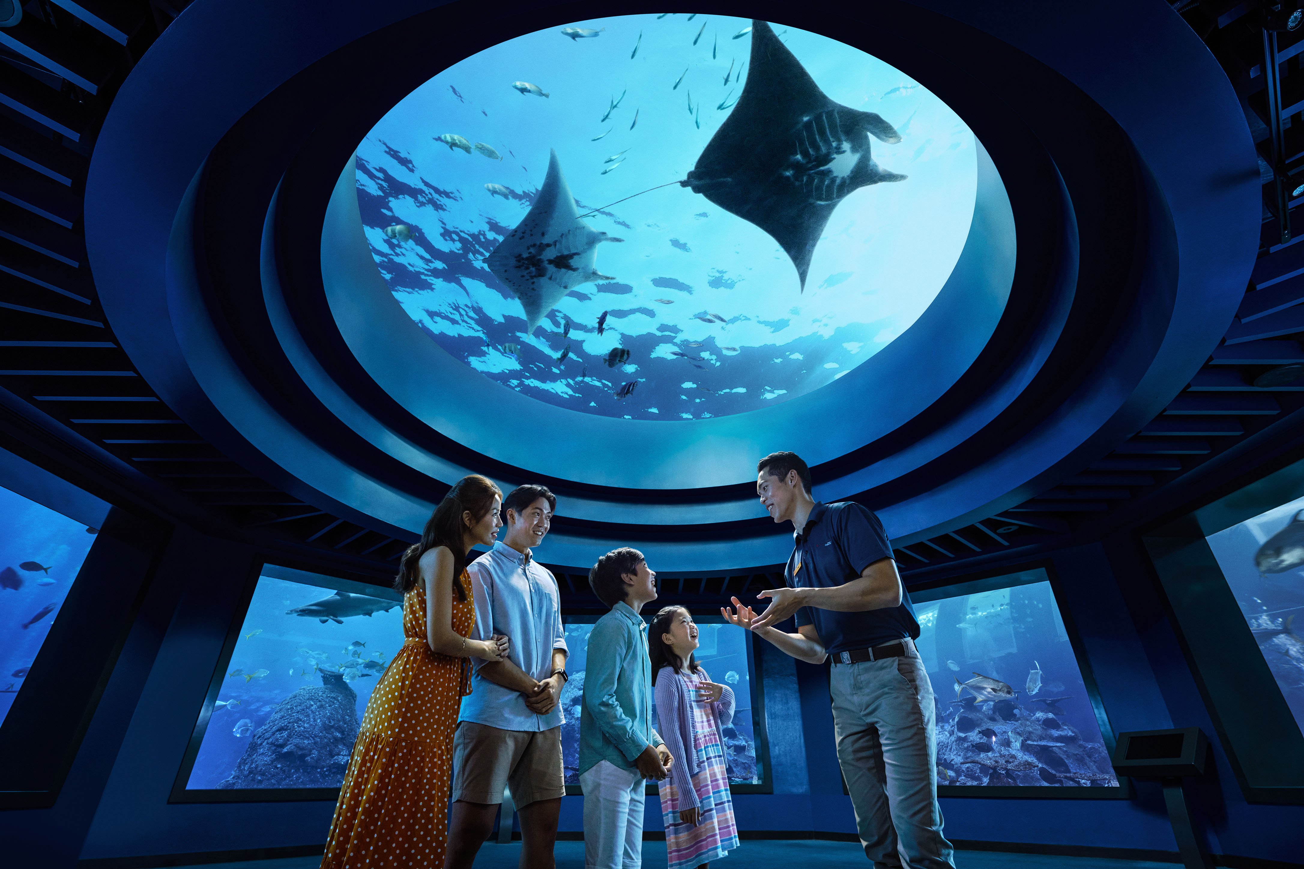 COMBO: Singapore Cable Car + Singapore Oceanarium + Albatross Hop-On Hop-Off Speedboat Tickets