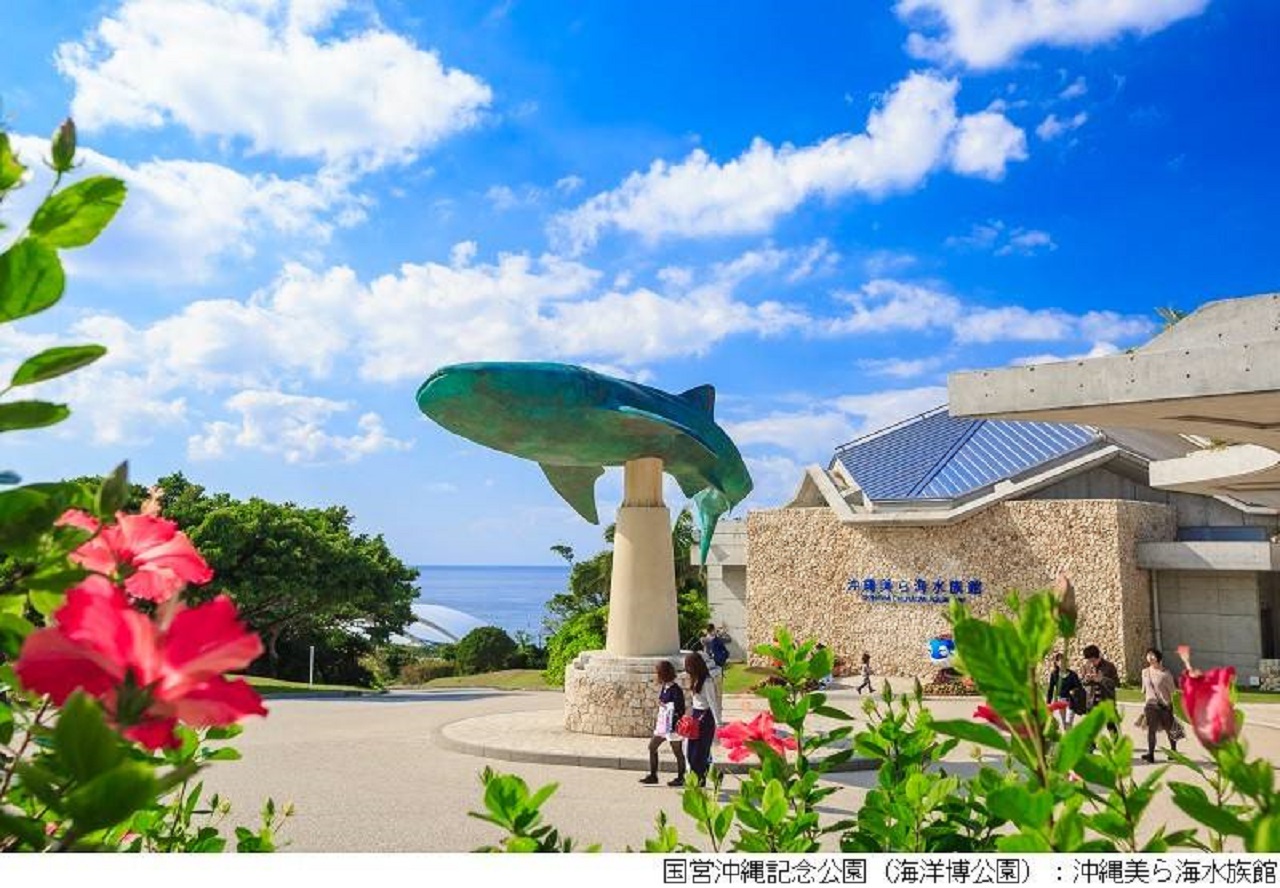 Okinawa Churaumi TokuToku 5 Pass