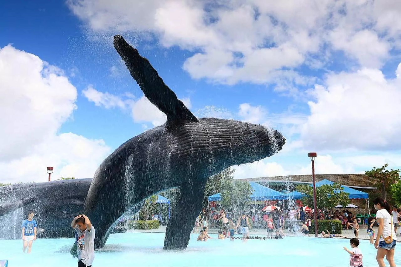 Pingtung National Museum of Marine Biology and Aquarium Ticket