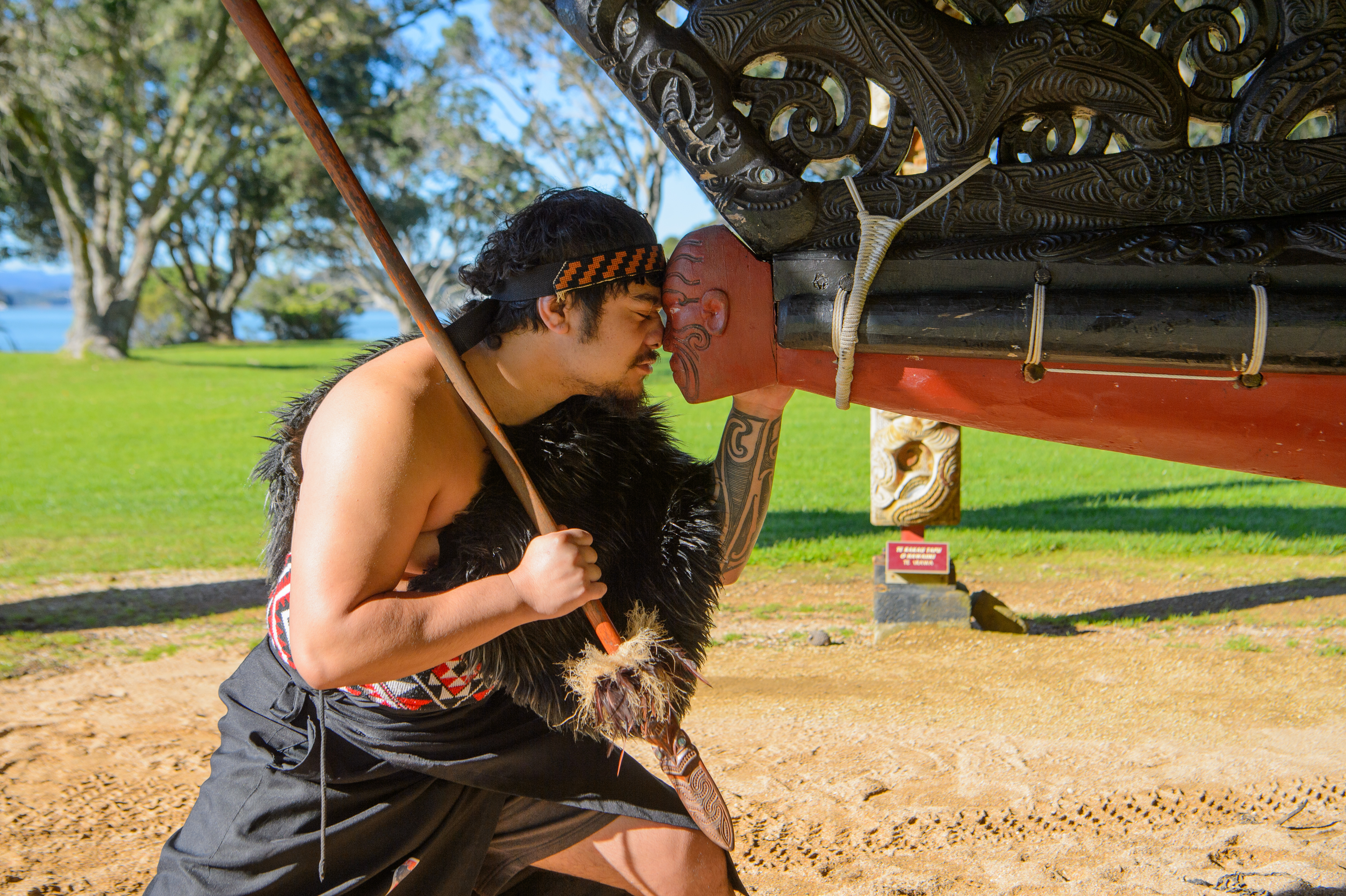 Waitangi Treaty Grounds Ticket with Cultural Guided Tour