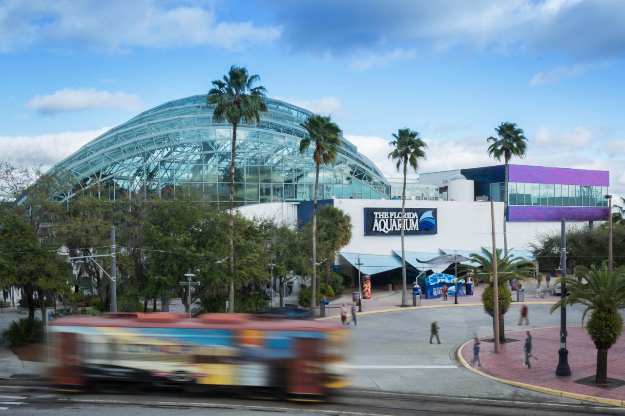 The Florida Aquarium Ticket