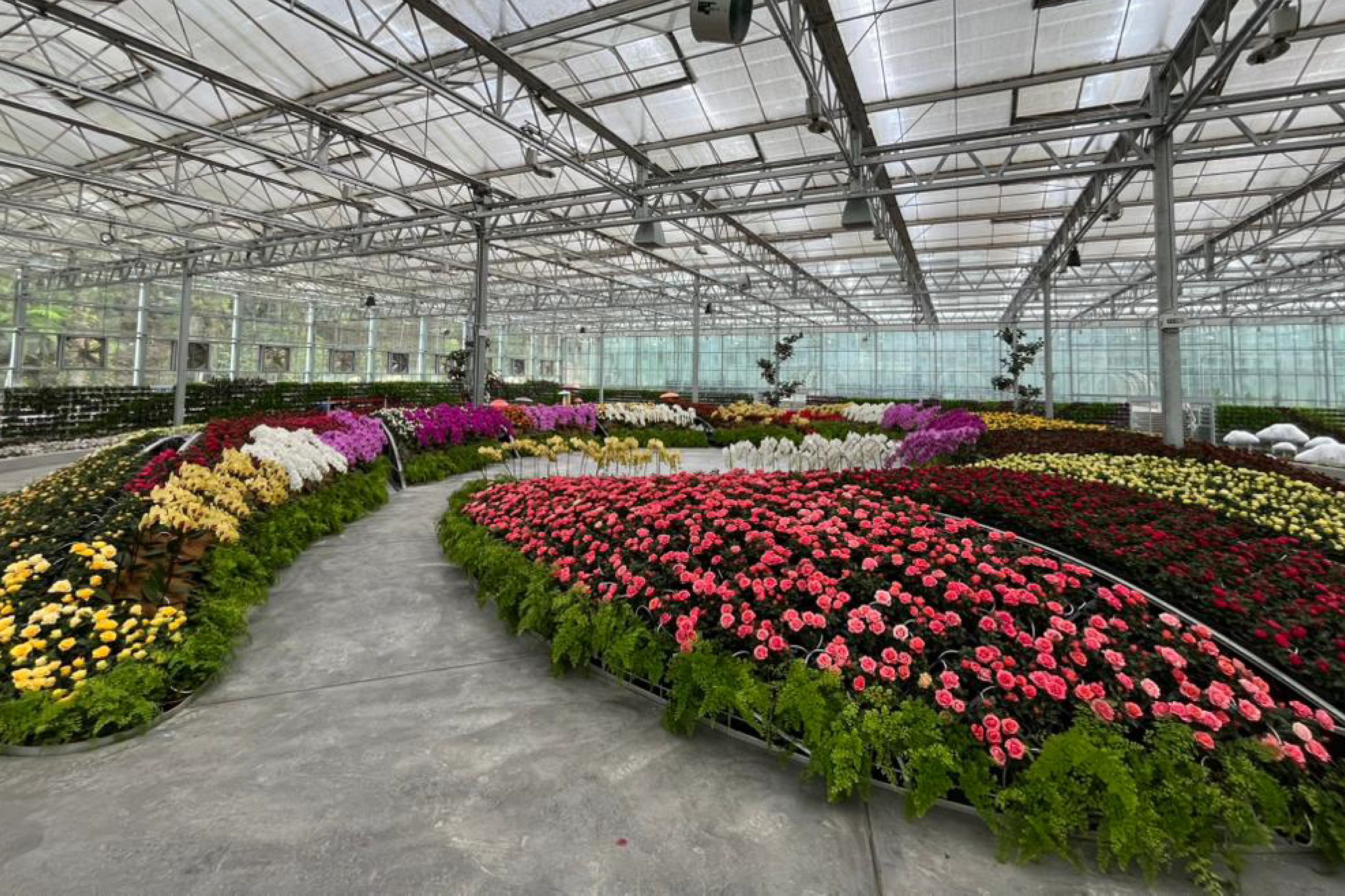 COMBO: Eufloria Gardens & Sculpture Park + Genting Skyway Tickets