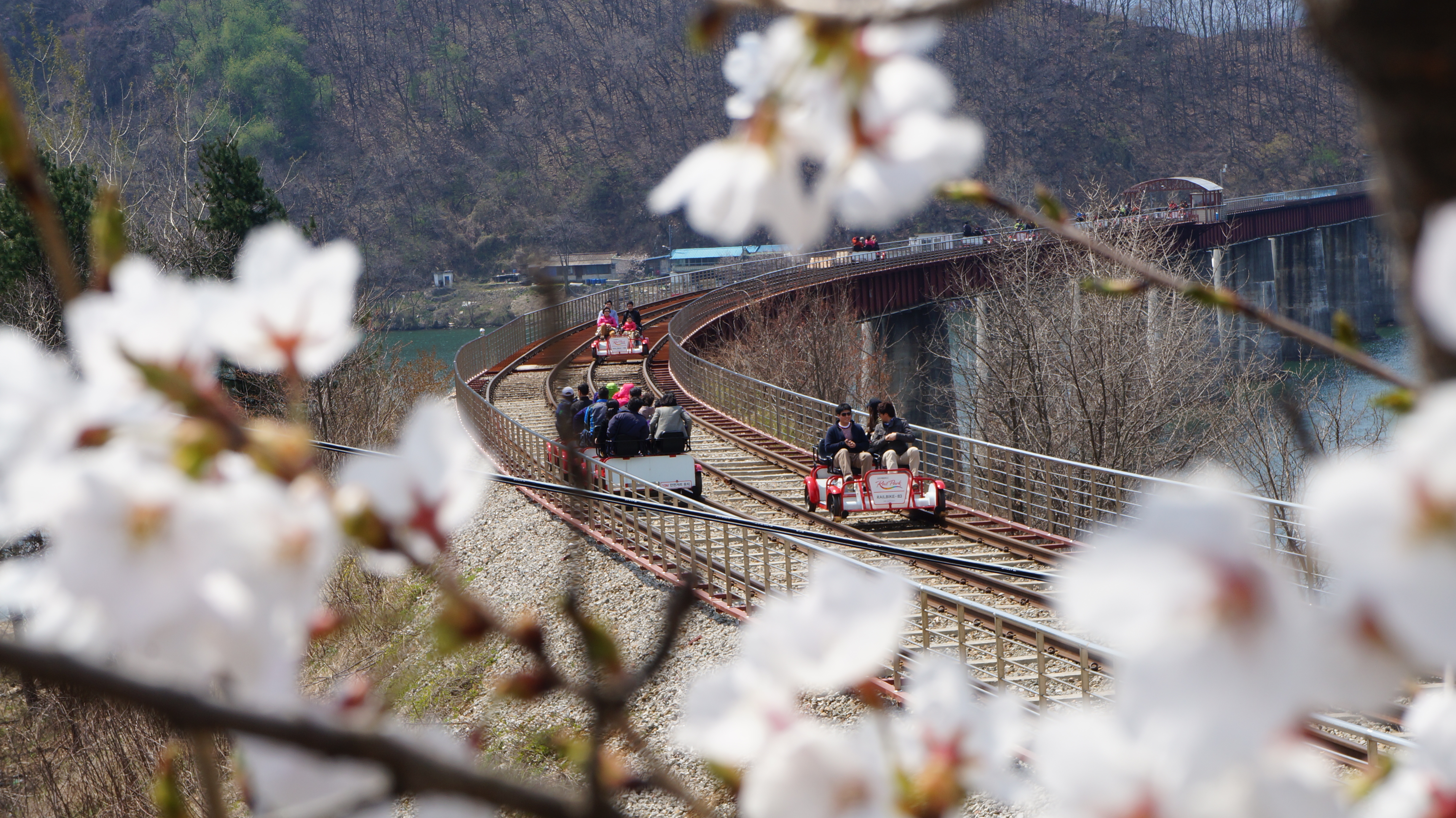 Nami Island, Petite France, Italian Village, and Gangchon Rail Bike Tour from Seoul